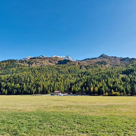 아파트 Chesa Allegria - 질스 마리아