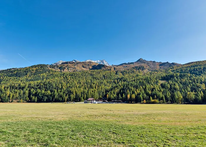 Lejlighed Chesa Allegria - Sils Maria